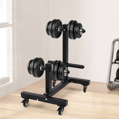 Wayfair dumbbell rack sale